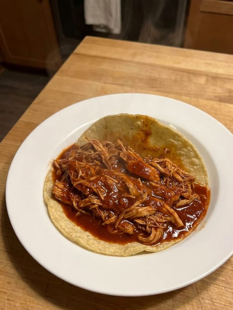 close up of chicken tinga